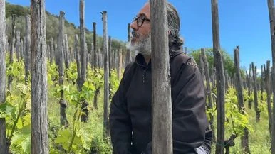 In vigna con Marco Casolanetti: 
