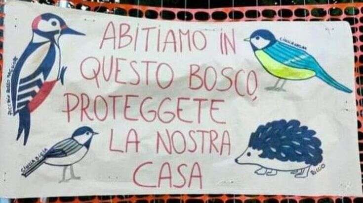 Mobilitazione ambientalista a Gallarate: “Salviamo il bosco di via Curtatone”