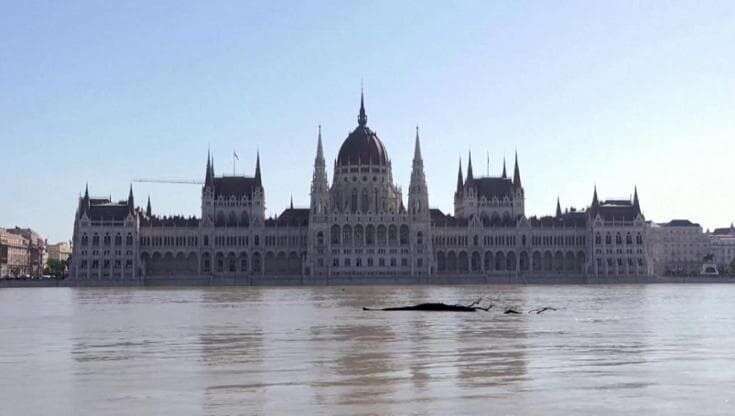 Maltempo, allarme Danubio in Ungheria: Budapest si prepara al picco della piena