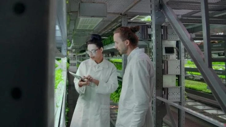 Con Foodtech Incubator, dalla ricerca universitaria nasceranno le startup agroalimentari del futuro