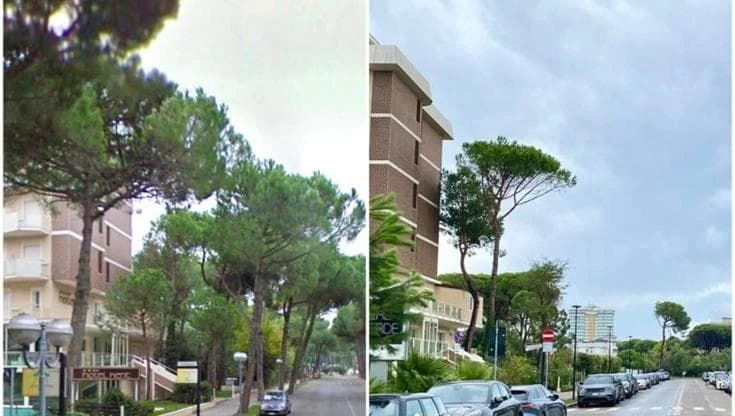 Milano Marittima, com’era e com’è dopo il nubifragio che ha fatto crollare centinaia di alberi