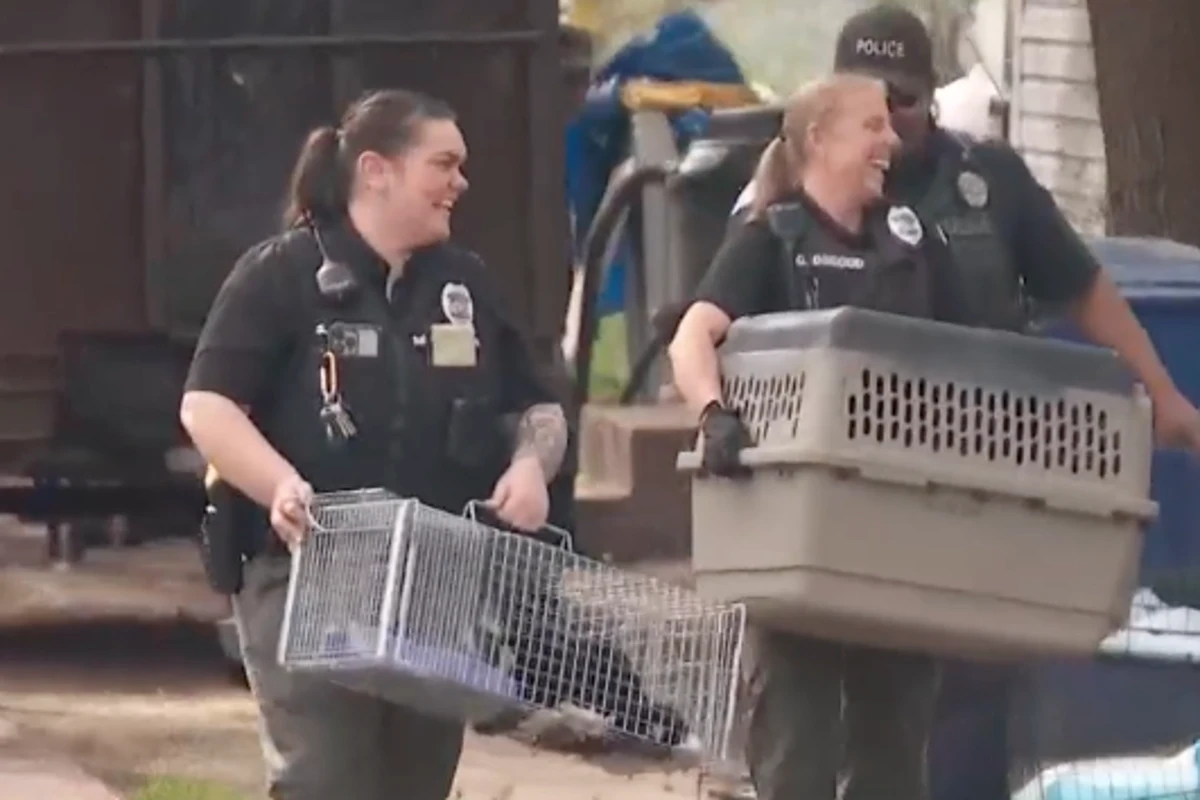 More than 150 dogs living in ‘extremely poor’ condition rescued
