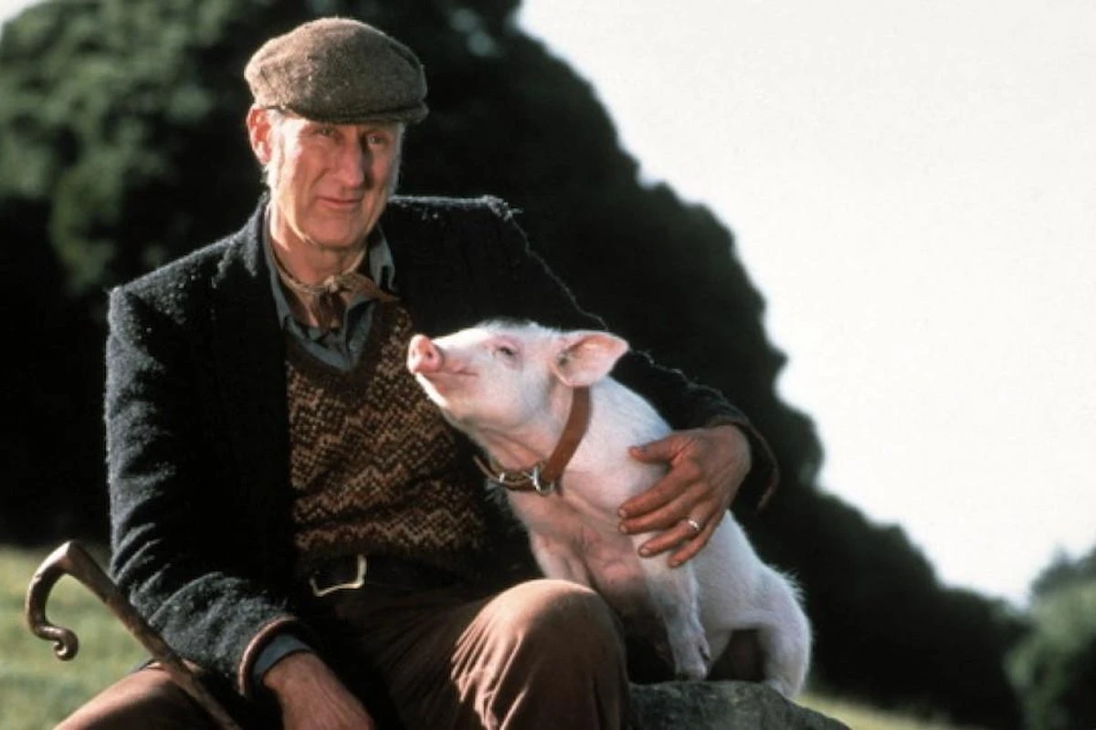 James Cromwell says he went vegan after working on 1995 movie Babe