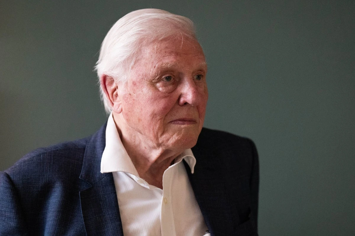David Attenborough almost drowned due to faulty scuba diving equipment