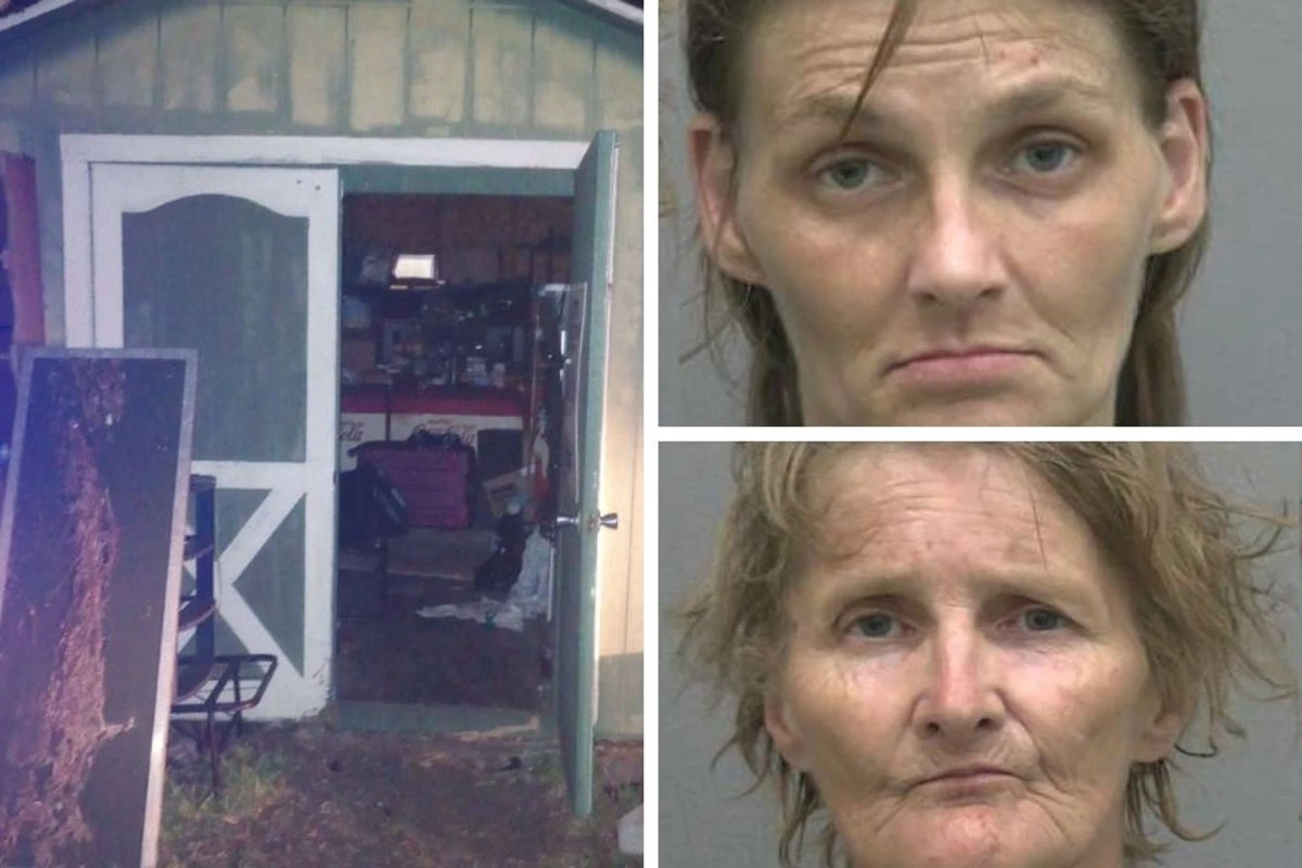 2 women accused of locking 5-year-olds in shed to avoid watching them