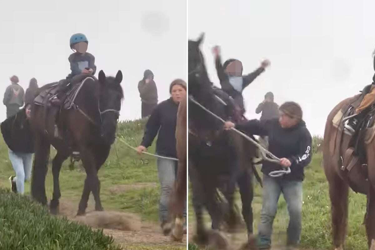 Boy, 5, thrown from horse after woman ‘yanked its tail’