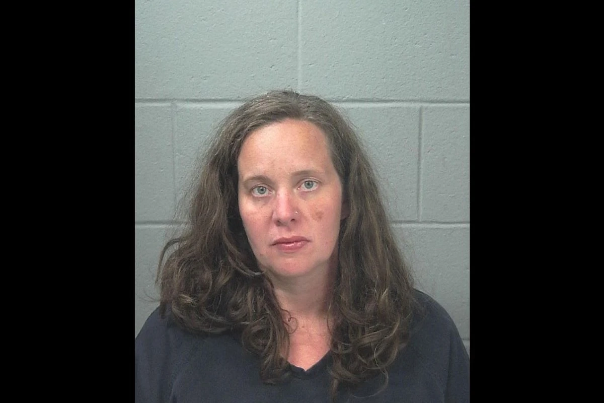 Mom facing charges after daughter, 3, and dog found dead in hot car