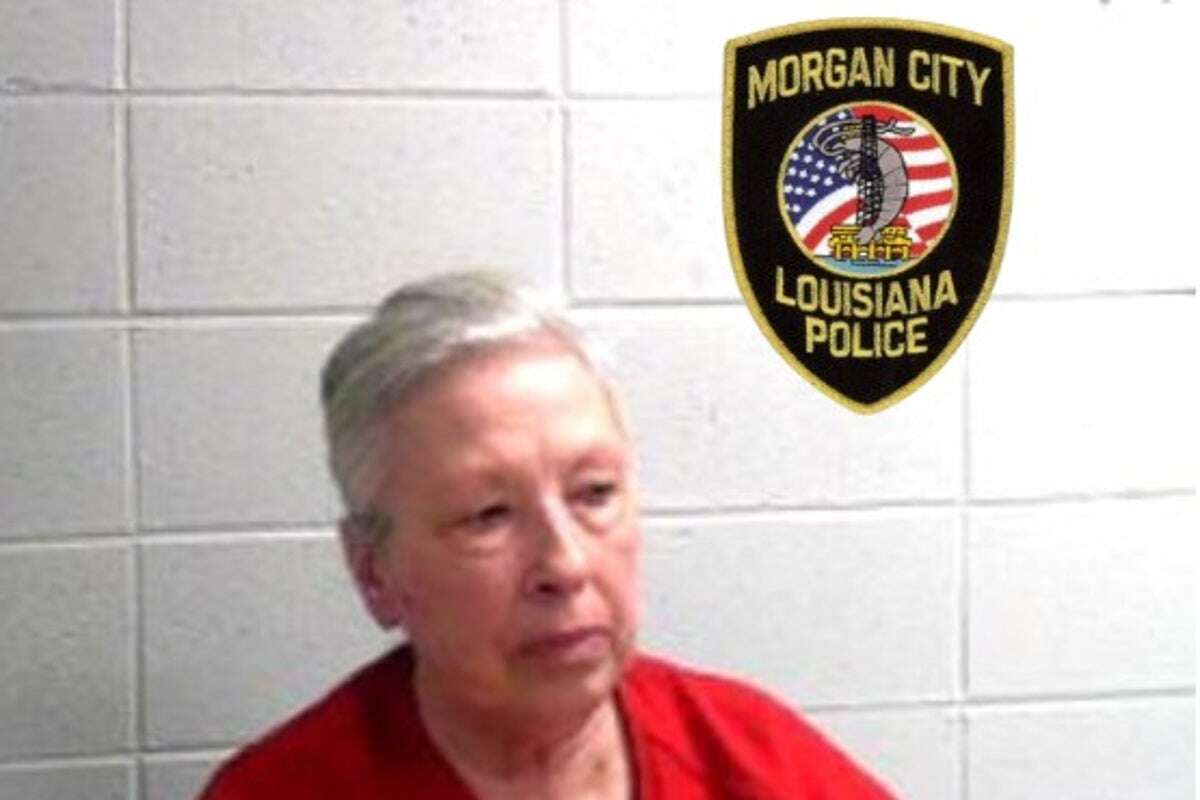 Woman arrested after cops found 14 dead cats stuffed in freezer