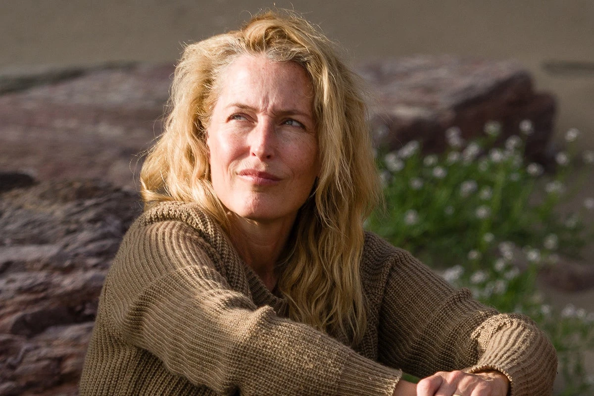 This Gillian Anderson homeless tale is just too neat and tidy