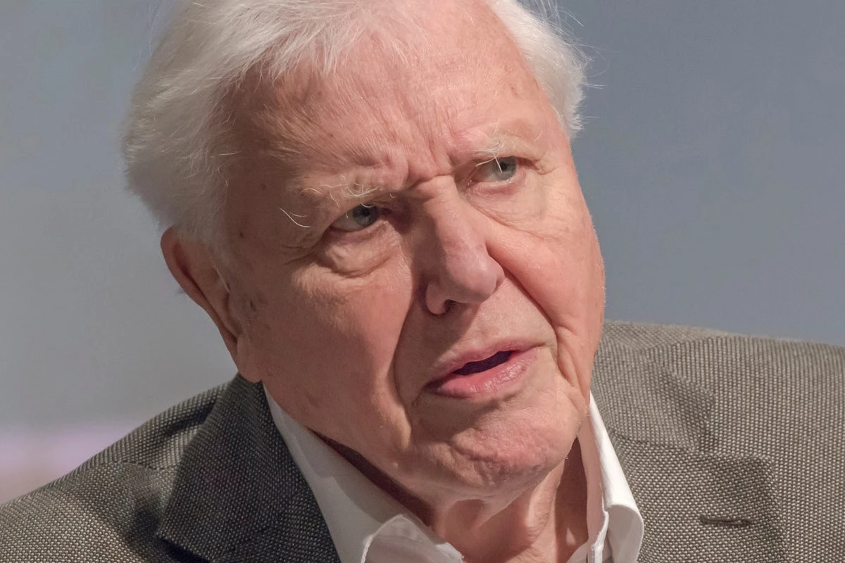 David Attenborough addresses approaching ‘end of his life’