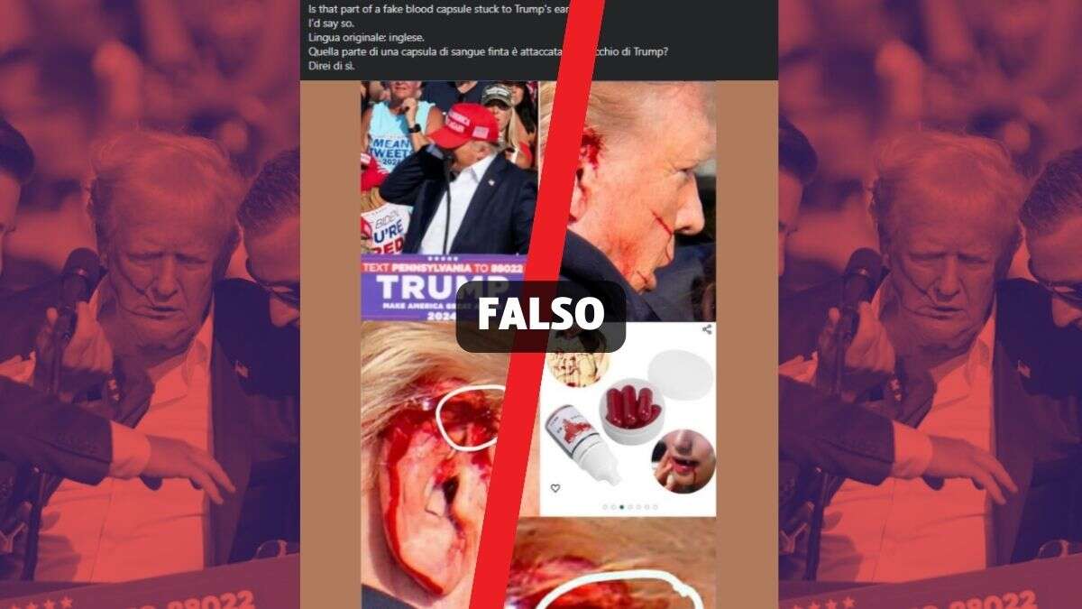 La teoria del complotto della capsula di sangue per fingere l’attentato a Donald Trump