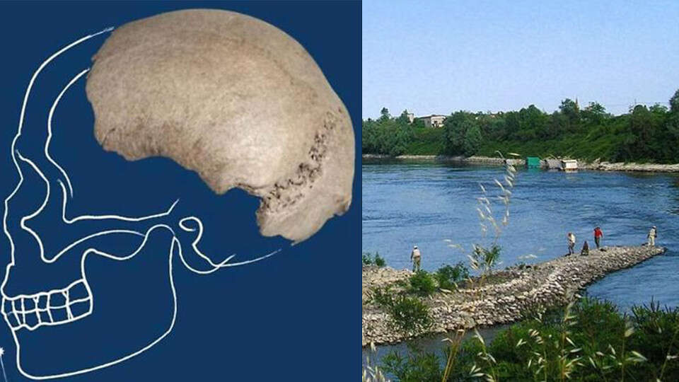 Acamar, il cranio dell’Homo sapiens restituito dal Po: «Ci aiuterà a capire le migrazioni dei nostri antenati»