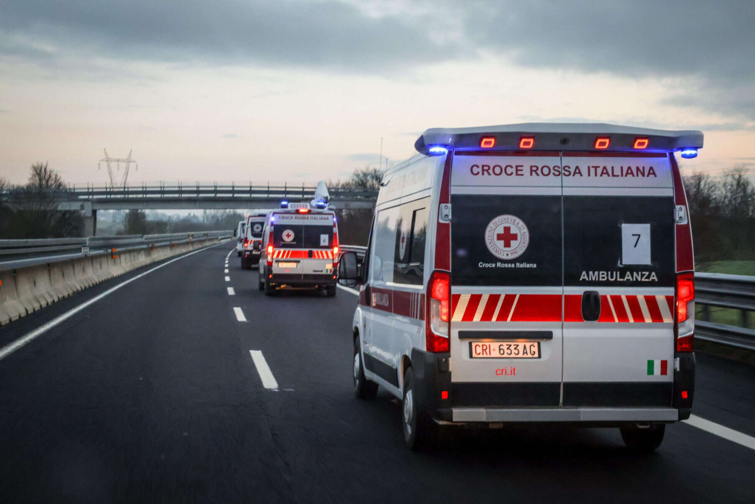 Bologna, trovato morto nei boschi un 82enne: era andato a funghi. Il corpo era in una scarpata