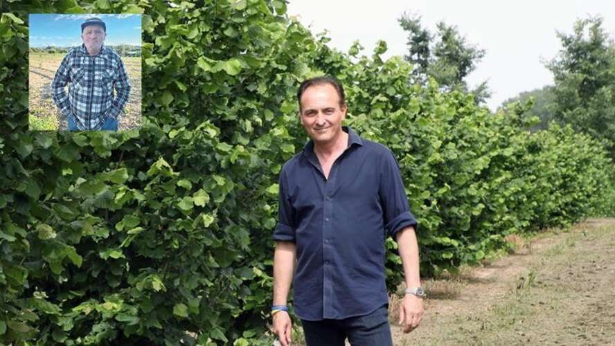 L’agricoltore che distrugge il noccioleto del politico: «L’ho fatto perché lui è ricco e io povero»