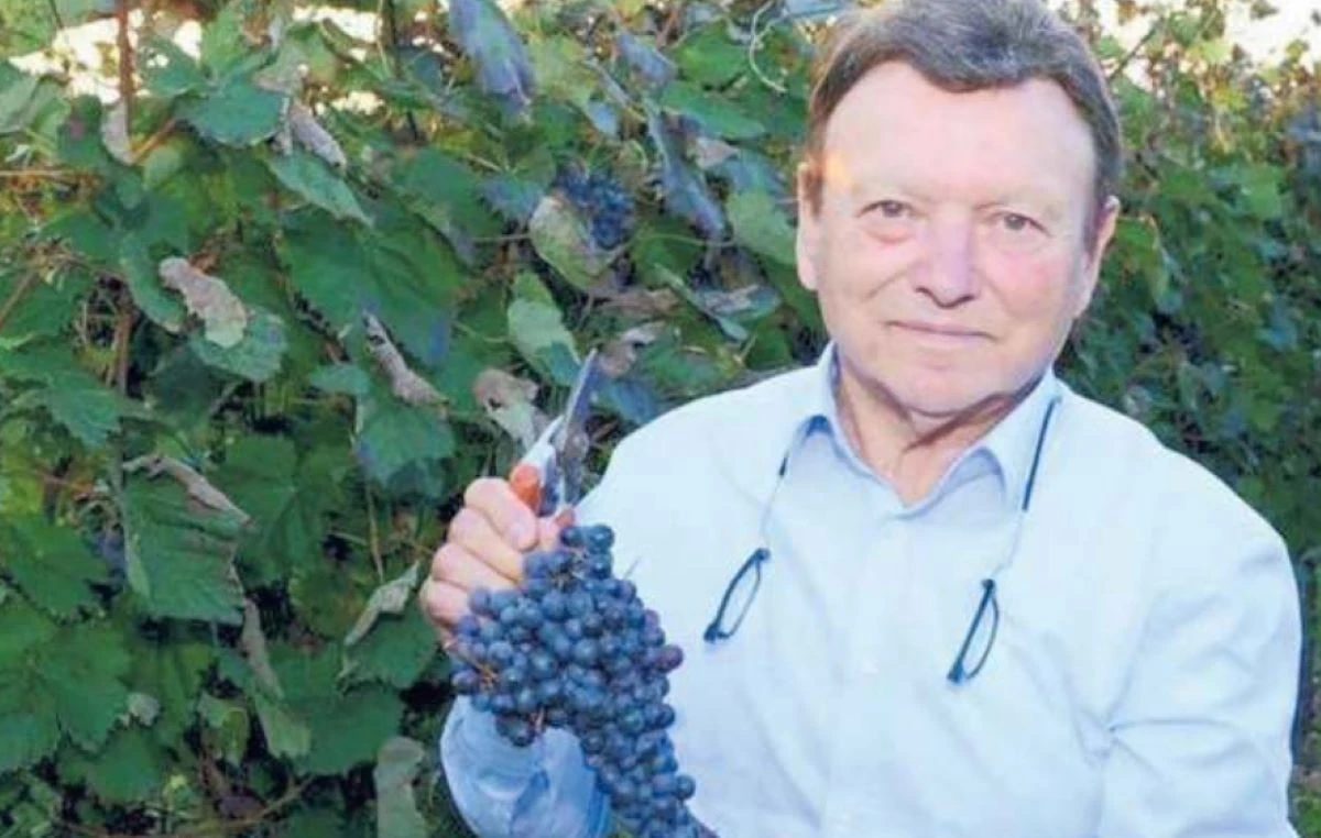 Imprenditore friulano lascia l’azienda in eredità ai dipendenti: «Ogni tanto diceva che l’avrebbe fatto, ma non ci credevamo davvero»