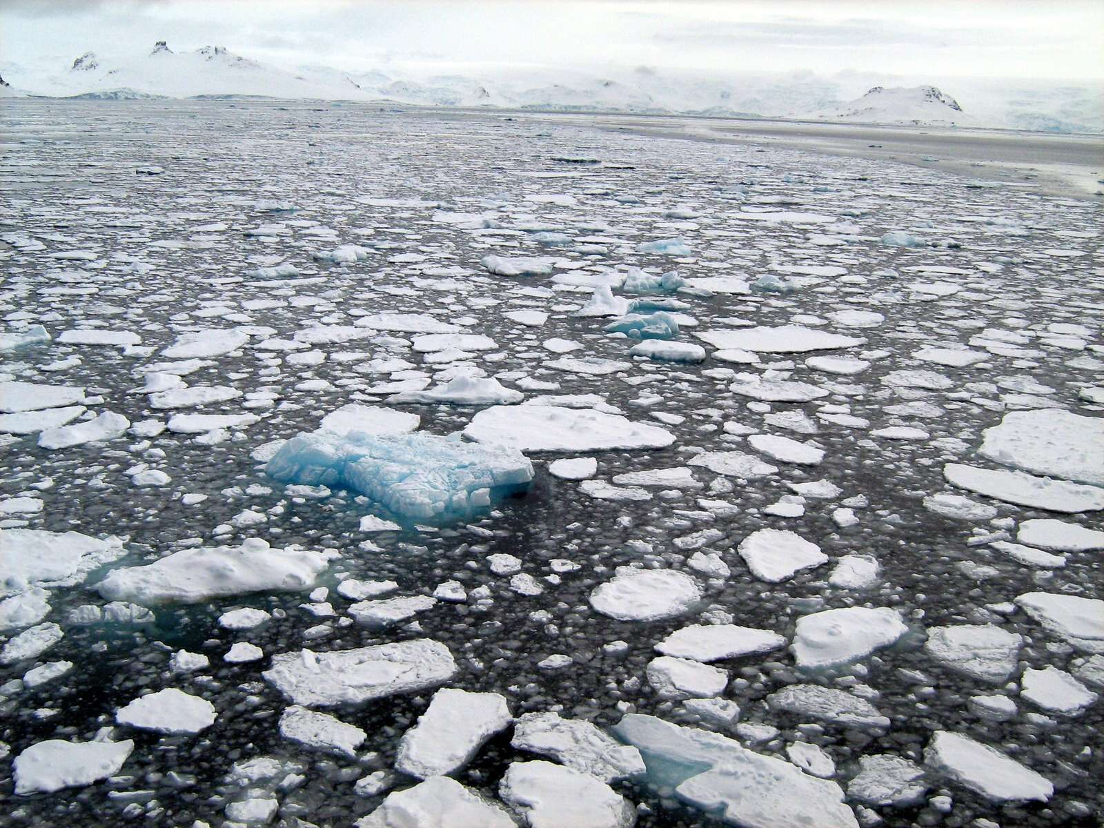 Allarme sul ghiaccio marino in Antartide, mai a valori così bassi: il report di Copernicus