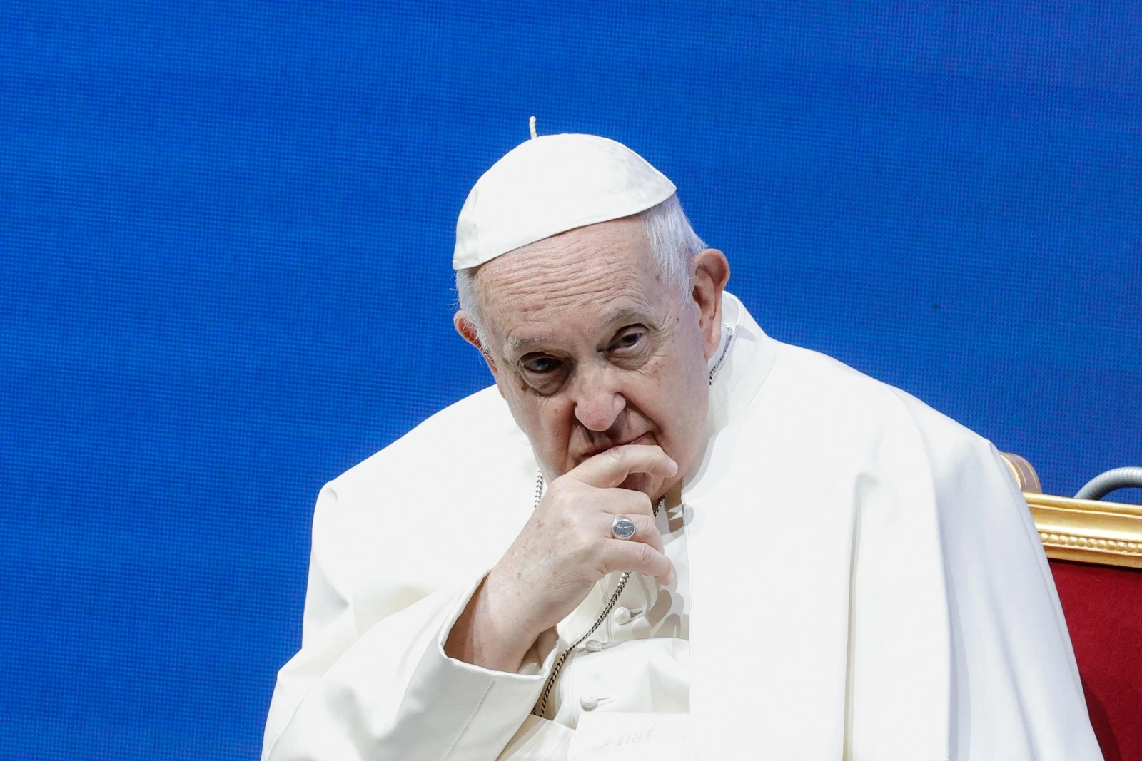 Papa Francesco e la preoccupazione sui pochi bambini in Italia: «Qui cagnolini al posto dei figli»