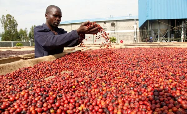 Kenya’s Second Budget Amid Covid-19 Prioritises Economic Recovery