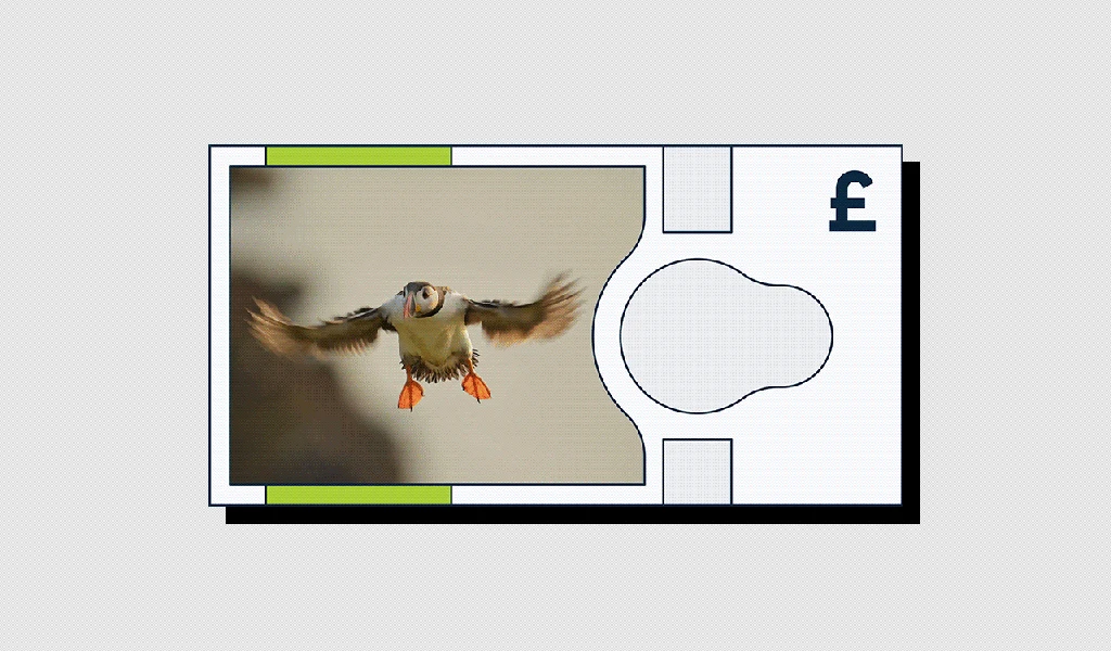 The U.K.’s next banknotes might feature cute foxes and prismatic butterflies