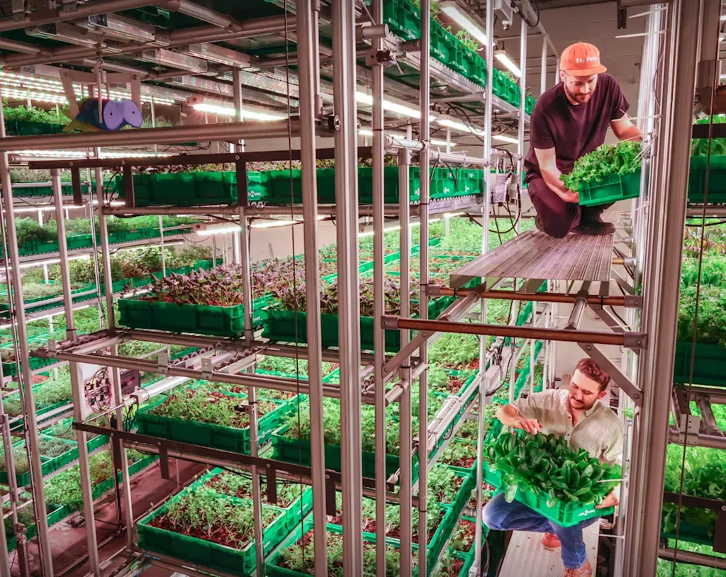 This company is turning empty offices across America into farms