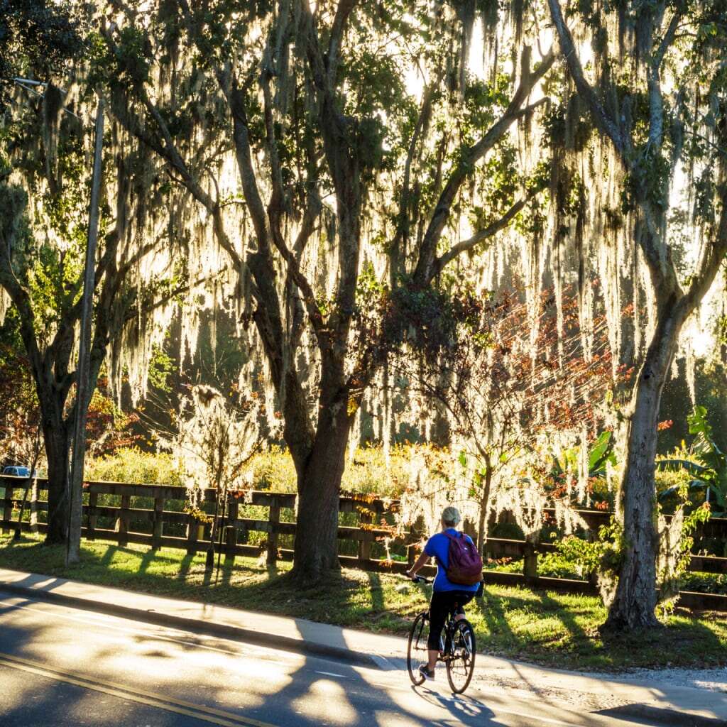 This Florida county has an ambitious climate agenda—even if Ron DeSantis won’t let them say so