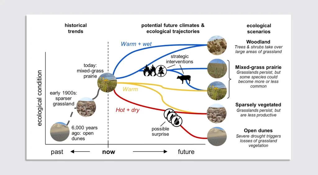 Managers rethink ecological scenarios as threats rise amid climate change