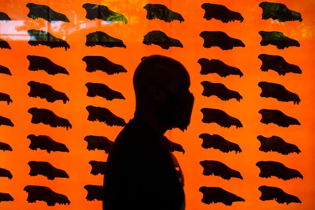 Is ‘de-extinction’ here? How gene editing can help endangered species