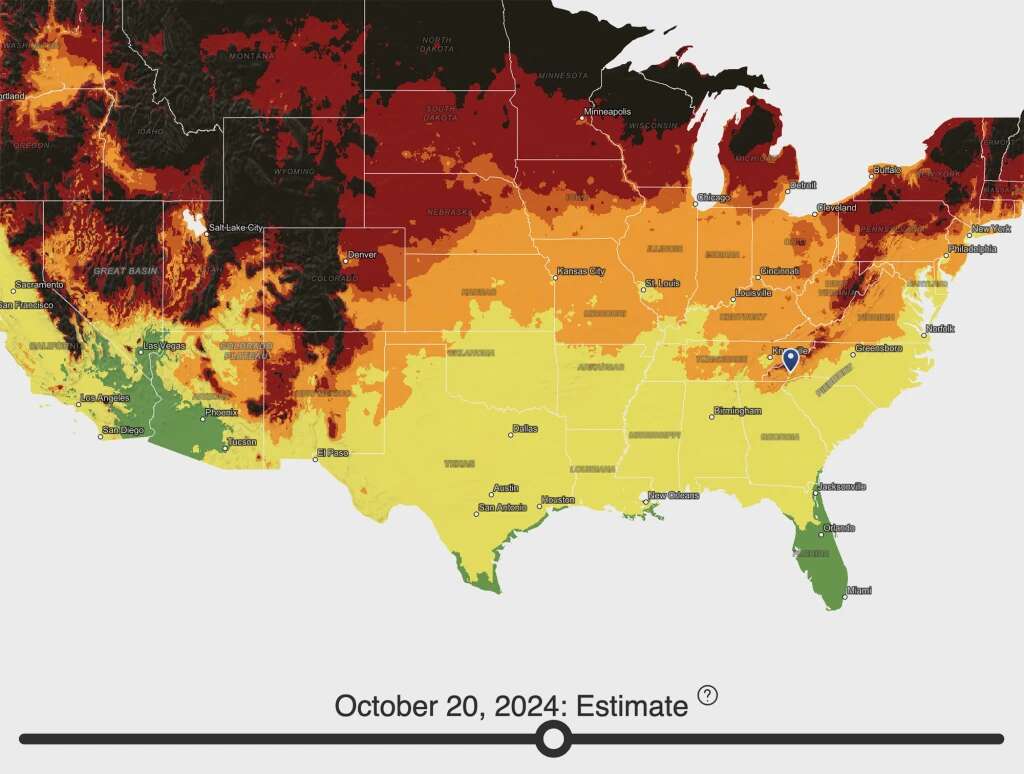 Fall Foliage Map 2024: Best dates to enjoy the season’s changing colors in your area