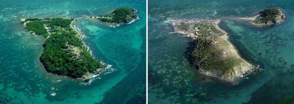 Puerto Rico’s ‘Monkey Island’ was destroyed by a hurricane. Researchers were shocked by how the primates responded