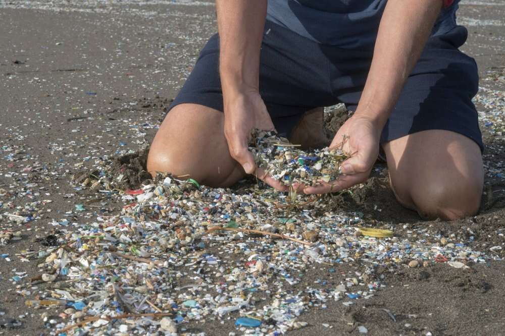 Coraz więcej mikroplastiku w ludzkim ciele. Narażony jest szczególnie jeden organ