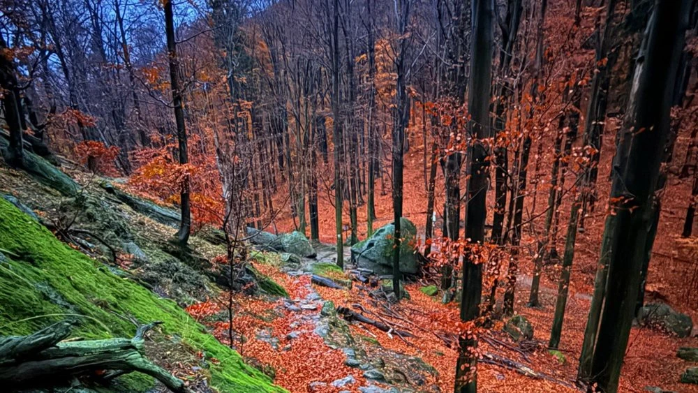 Nie szykuj się w te miejsca na długi weekend w górach. Zamkną je na kilka miesięcy