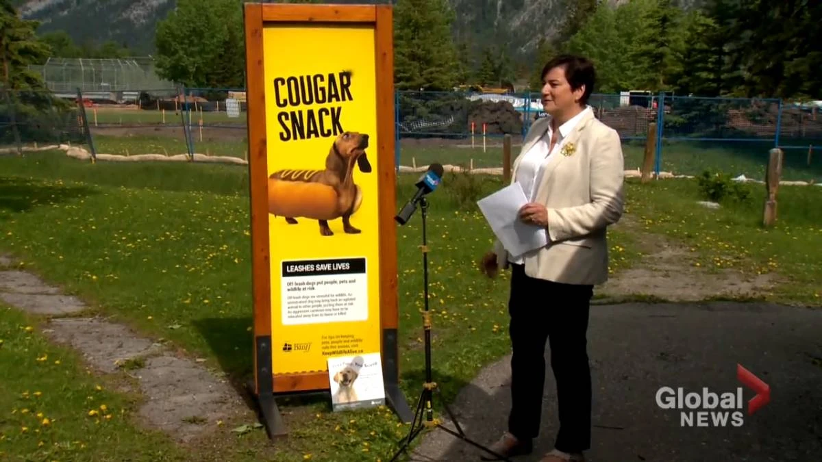 Banff launches education campaign aimed at dog, wildlife safety