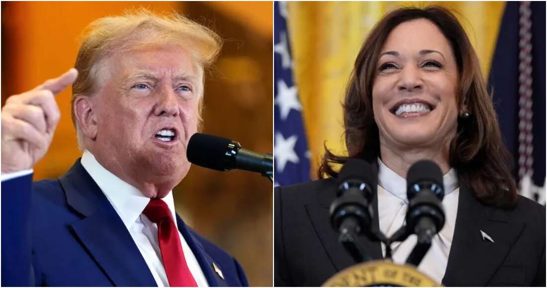 ENTREVISTA¬ Ir por capos es mediático, eso no cambiará con Trump ni Kamala: Hackbarth