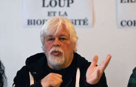 Bardot, Niney, Nagui, Sirkis… Ils réclament la libération de Paul Watson