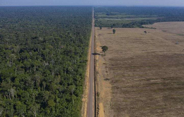 L’Amazonie brésilienne a connu en 2024 un nombre d’incendies record