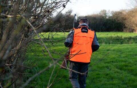 Non, le gilet fluo ne sera pas obligatoire pour se balader en période de chasse