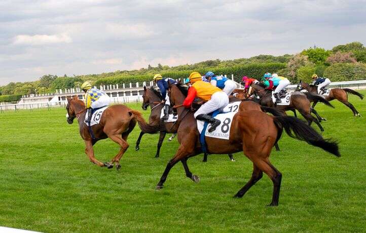 Un cheval fait une lourde chute lors d’une course hippique en Australie