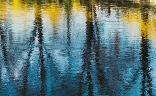 Envoyez-nous vos plus belles photos de reflets dans l’eau