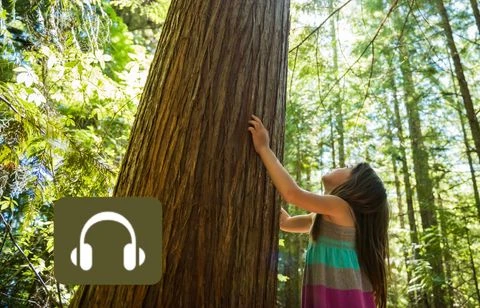 Comment parler de crise climatique avec les enfants (sans flipper) ?