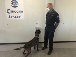 Cinq chiens d'exception formés à suivre la piste du Covid-19, en Gironde