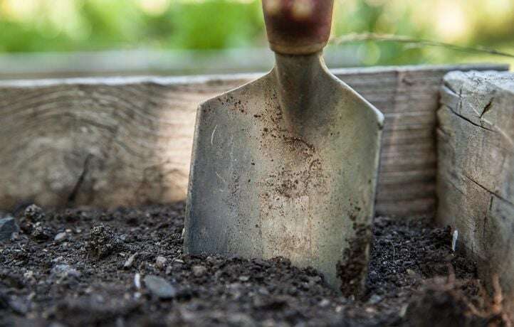 Il tombe sur la mâchoire d’un mastodonte en jardinant derrière sa maison