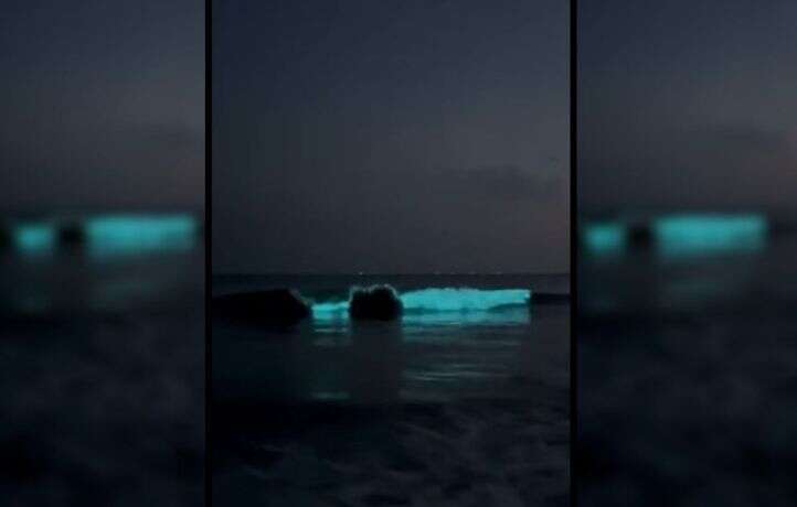 Une étonnante lumière bleu fluo aperçue dans l’océan, en Loire-Atlantique