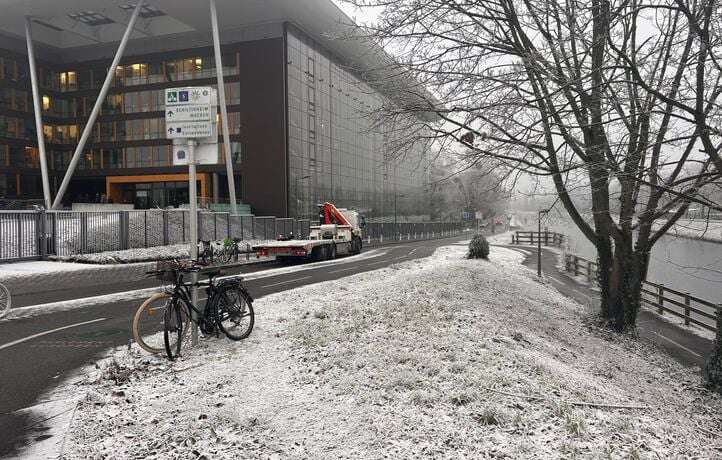 C’est quoi cette « neige bizarre » dans certains quartiers de Strasbourg ?