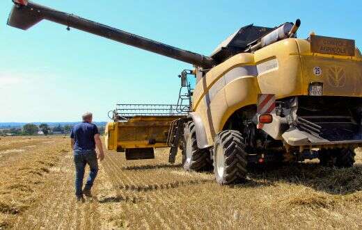 3.000 hectares de maïs couchés par le vent en Haute-Vienne