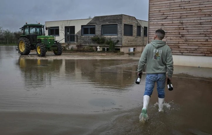 « Il ne reste plus rien »… Le vignoble du Chablis ravagé par la grêle