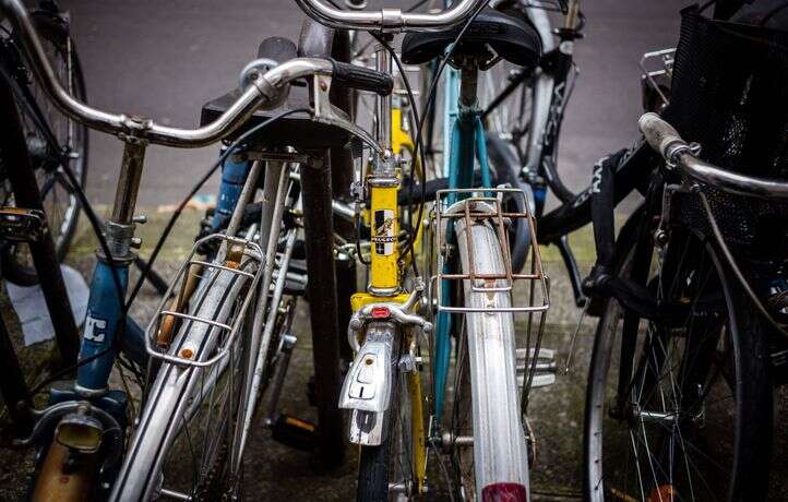 En cherchant un vélo volé, la police danoise retrouve des œuvres d’art