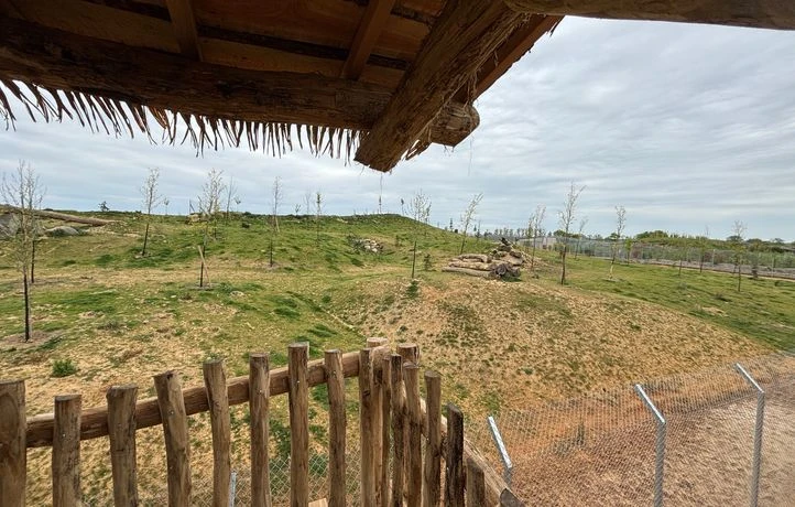 Ces zoos qui mettent le paquet pour construire des enclos XXL