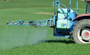Des cultures bio détruites à cause d’un pesticide en Normandie