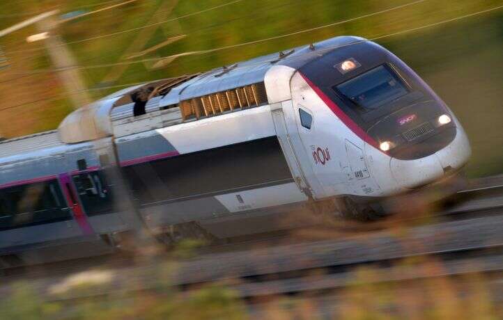 Doit-on laisser les policiers contrôler les conducteurs de train ?