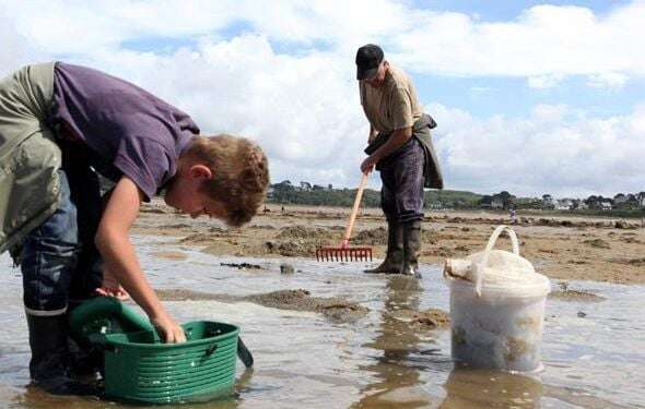 Tout savoir sur la pêche à pied à l’heure des grandes marées